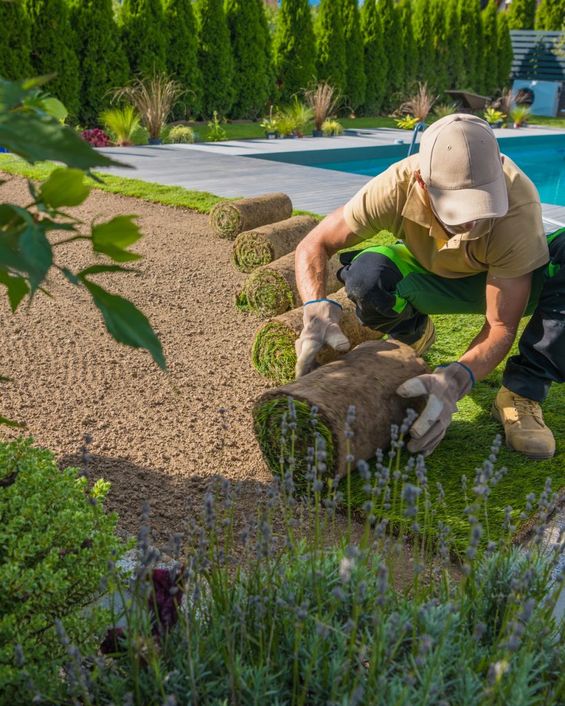 Caucasian Professional Gardener Carefully Rolling Out Turf Grass Rolls While Installing the Instant Lawn Around the Outdoor Swimming Pool. Backyard Resting Area.